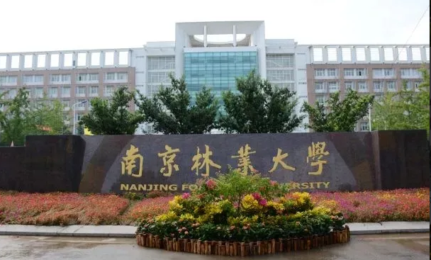 南京林业大学.png