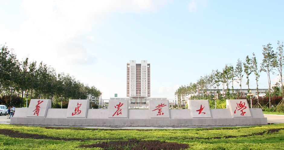 青岛农业大学.png