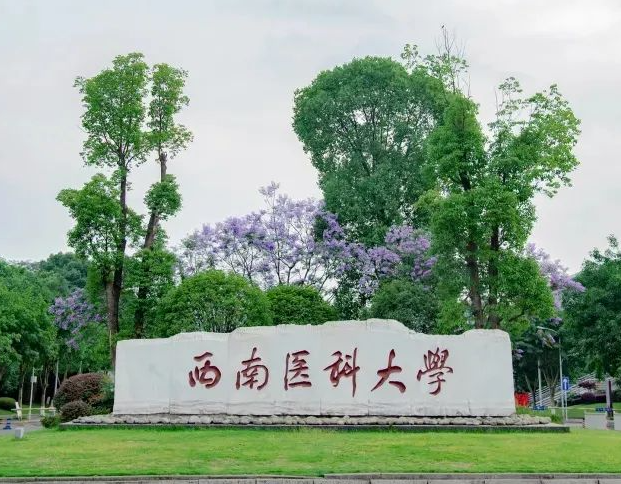 西南医科.png
