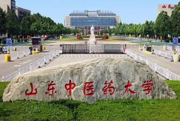 山东中医药.png